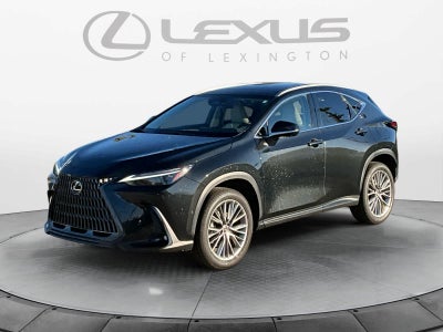2025 Lexus NX 350h Luxury