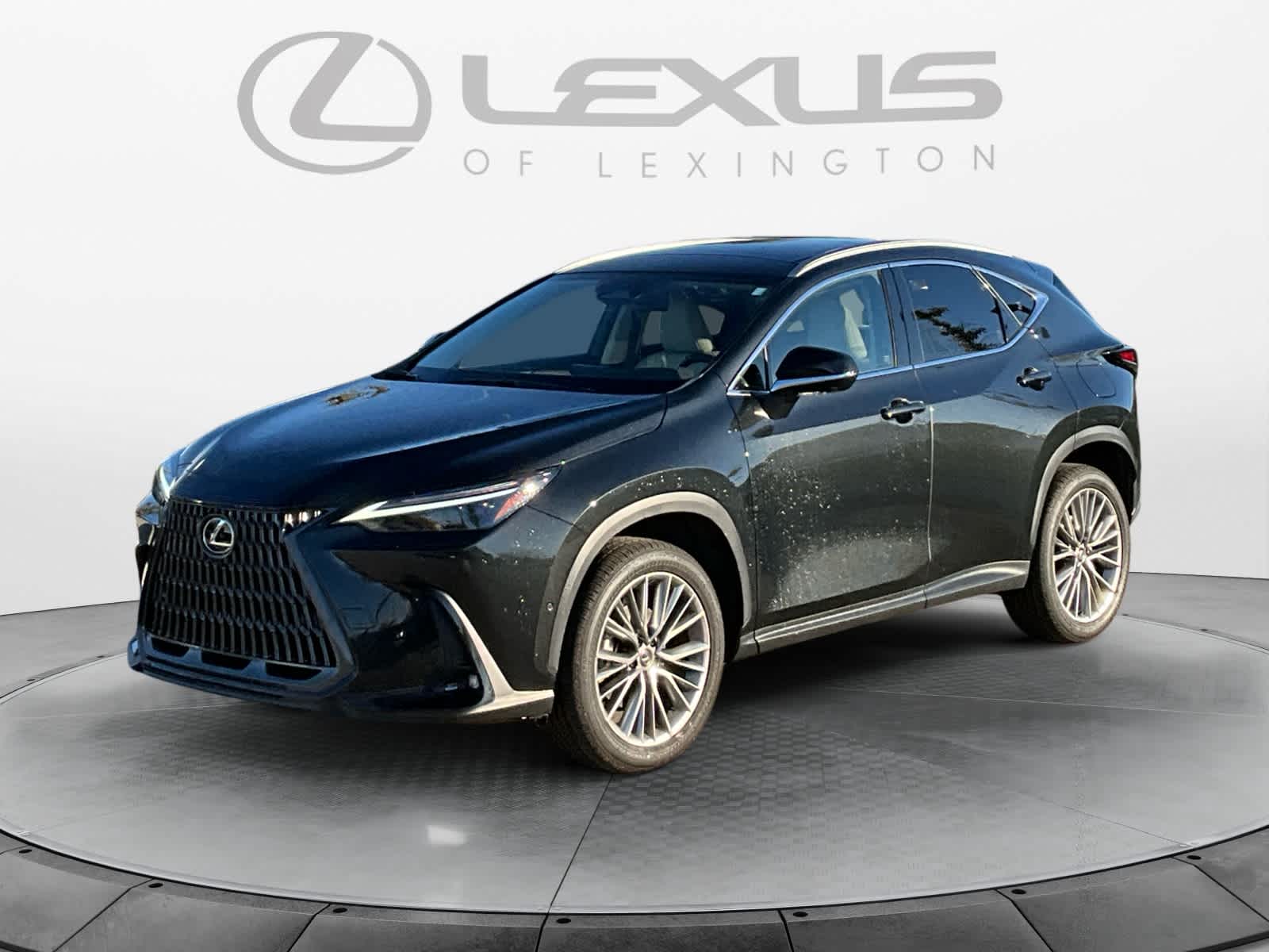 2025 Lexus NX 350h Luxury
