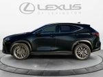 2025 Lexus NX 350h Luxury