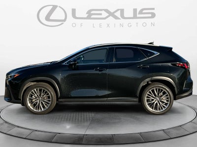 2025 Lexus NX 350h Luxury