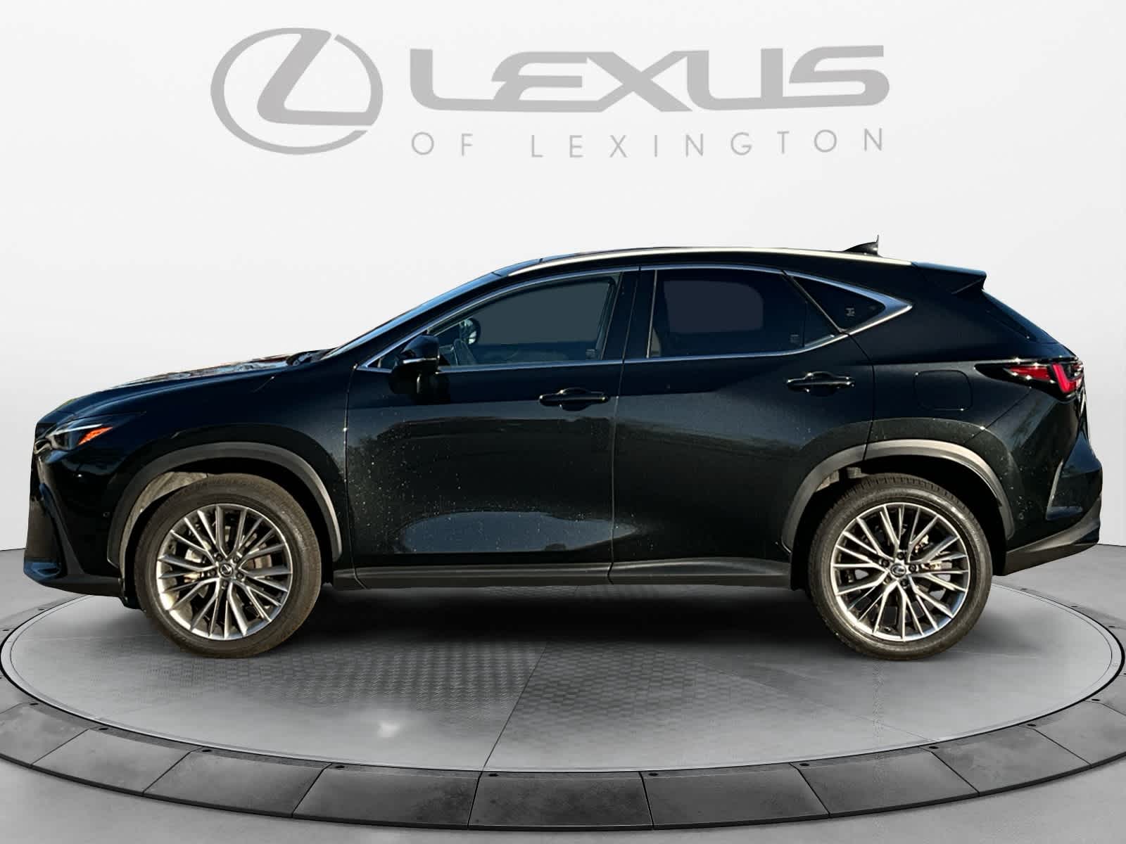 2025 Lexus NX 350h Luxury