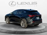 2025 Lexus NX 350h Luxury