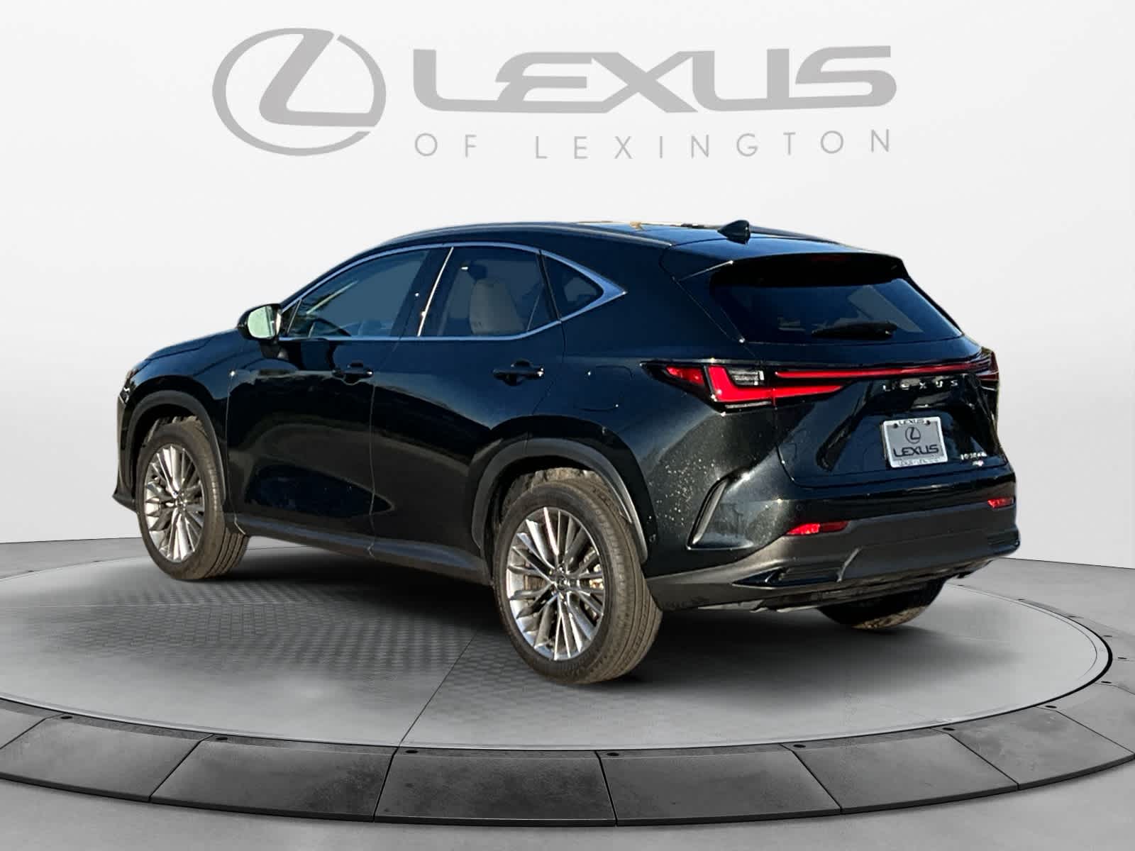2025 Lexus NX 350h Luxury