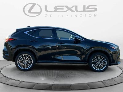 2025 Lexus NX 350h Luxury