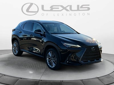 2025 Lexus NX 350h Luxury