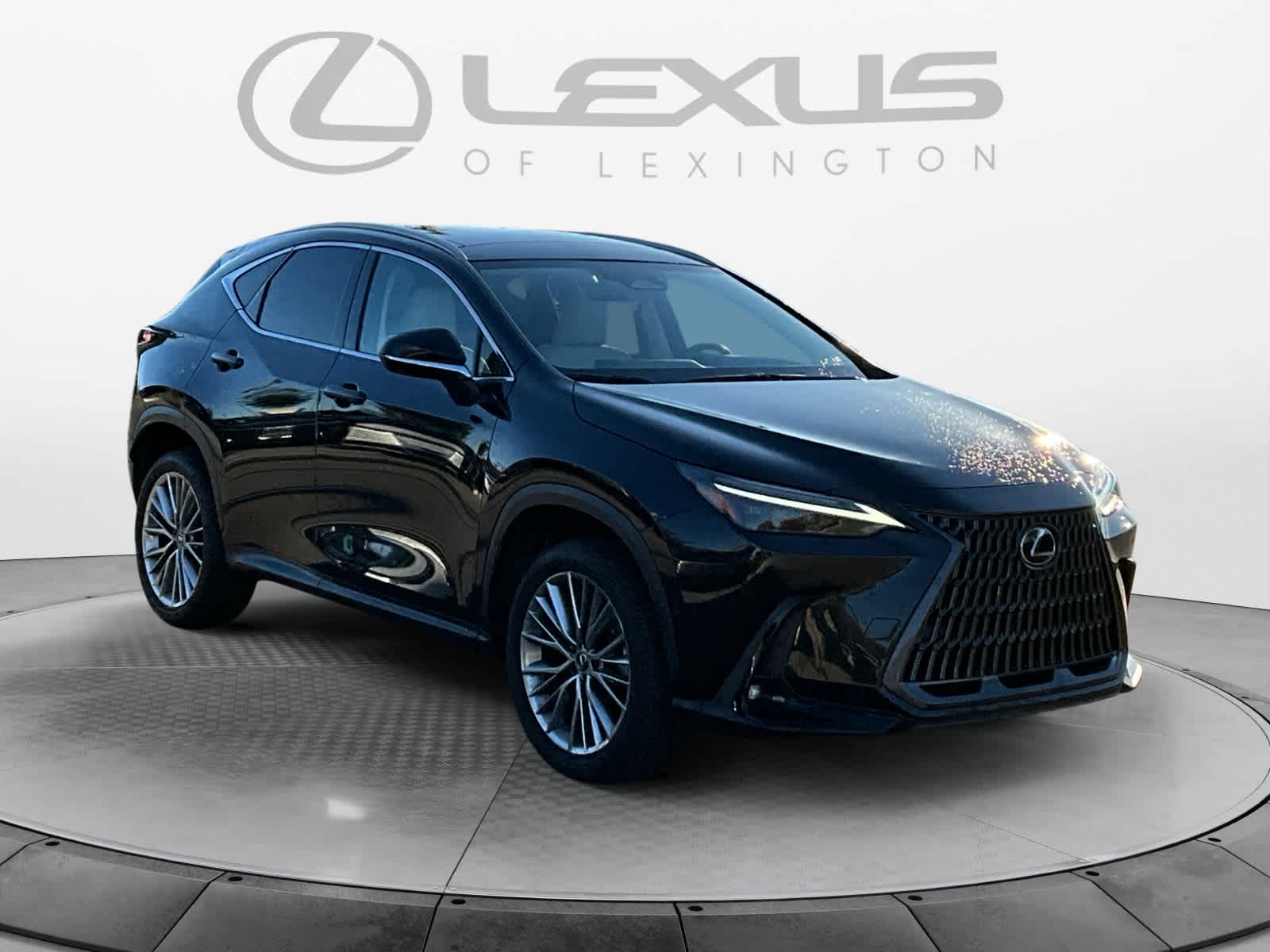 2025 Lexus NX 350h Luxury