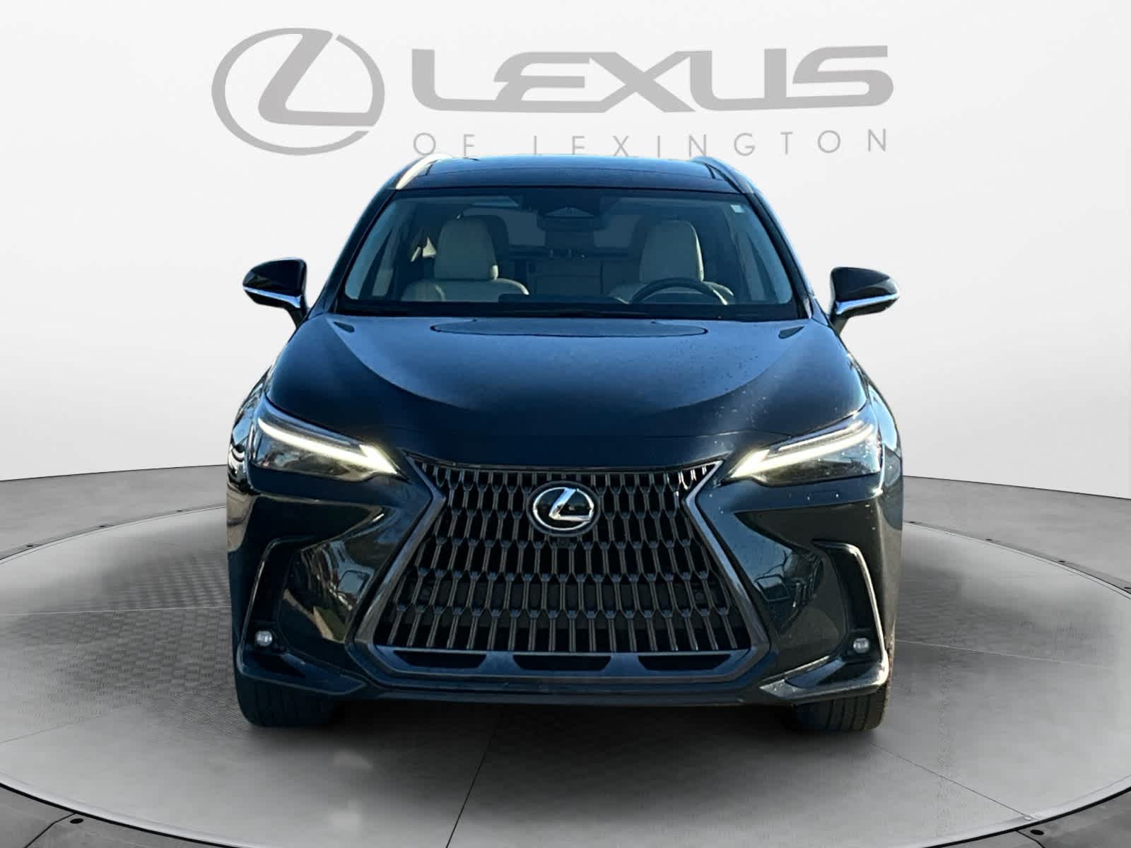 2025 Lexus NX 350h Luxury
