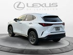 2026 Lexus NX Premium