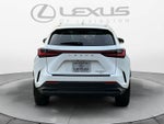 2026 Lexus NX Premium
