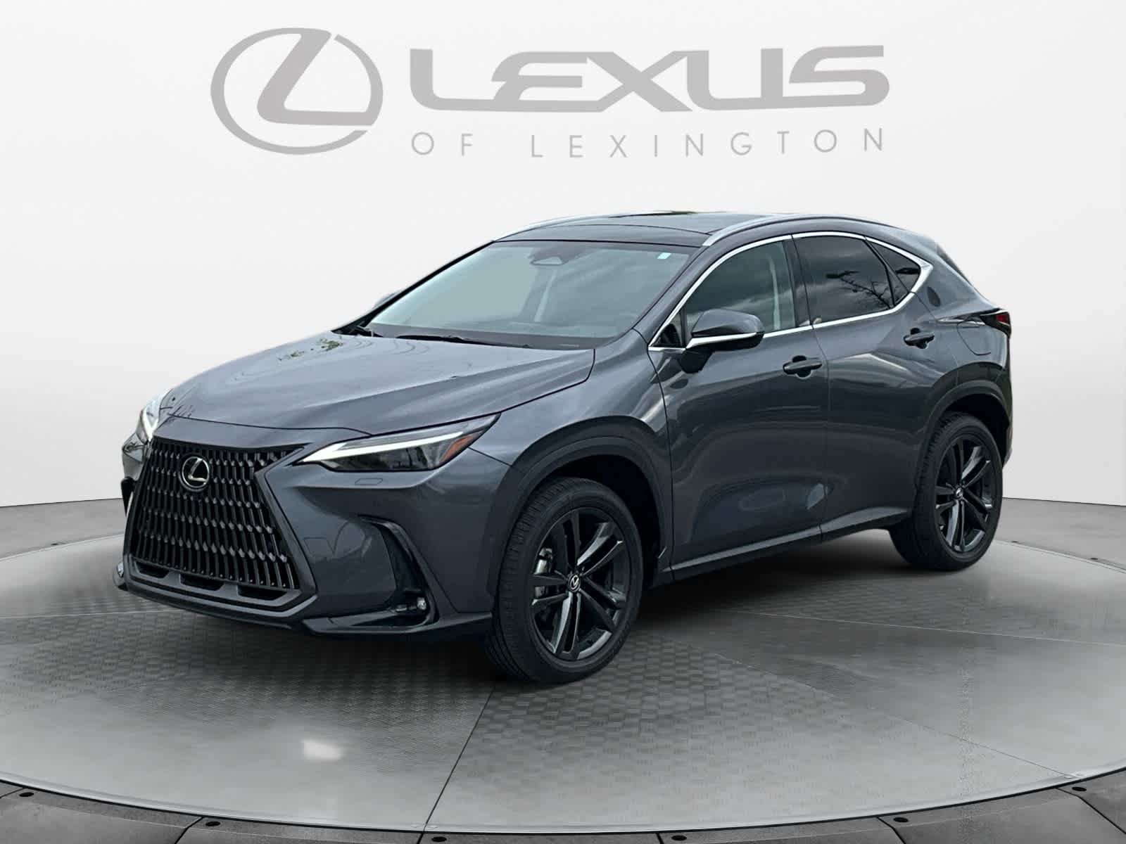 2025 Lexus NX 450h+ Luxury
