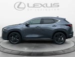2025 Lexus NX 450h+ Luxury