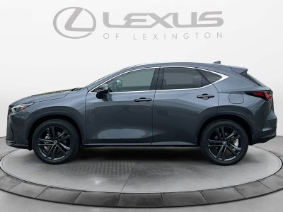 2025 Lexus NX 450h+ Luxury