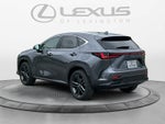 2025 Lexus NX 450h+ Luxury