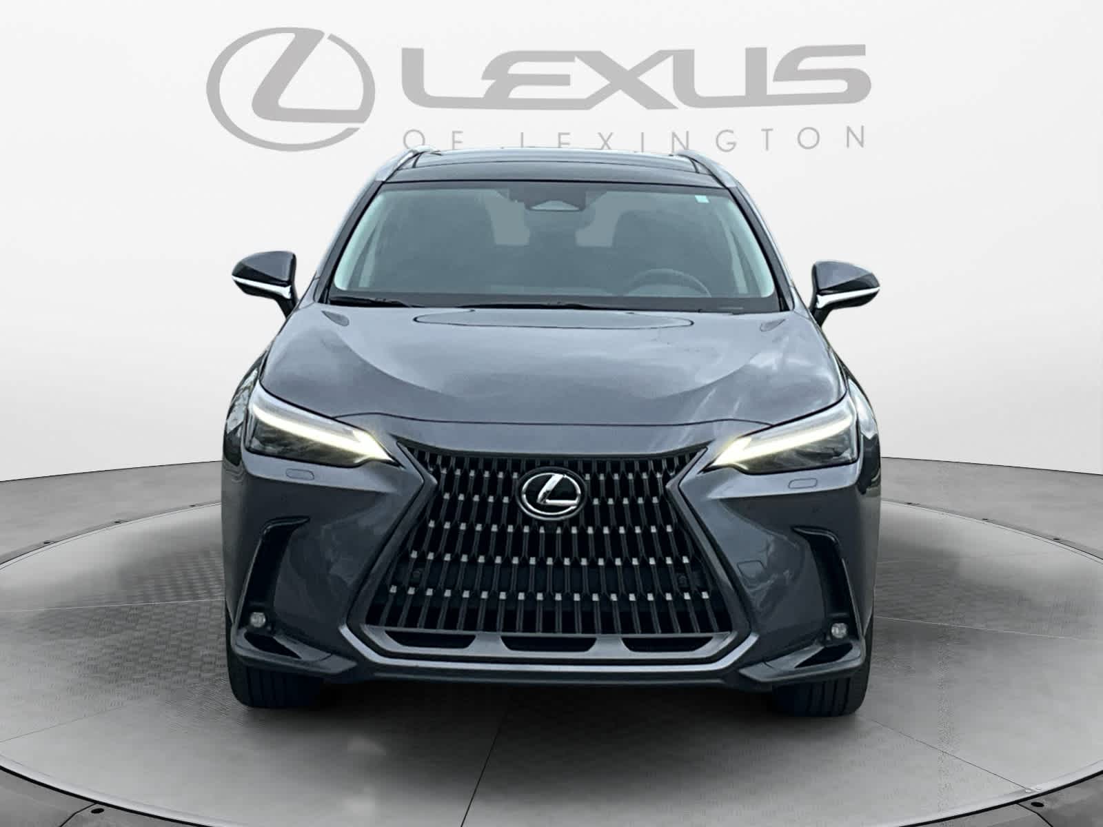2025 Lexus NX 450h+ Luxury