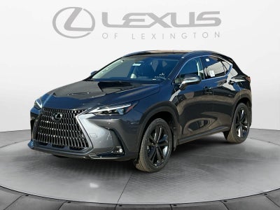 2026 Lexus NX Luxury