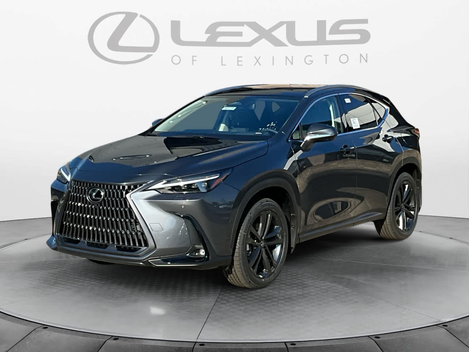 2026 Lexus NX Luxury