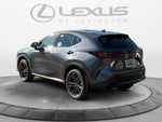 2026 Lexus NX Luxury