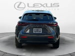 2026 Lexus NX Luxury