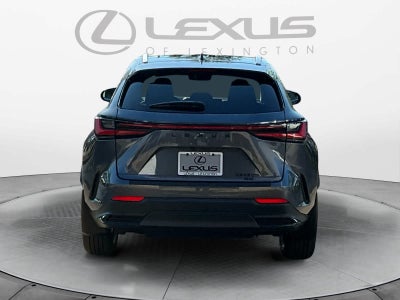 2026 Lexus NX Luxury