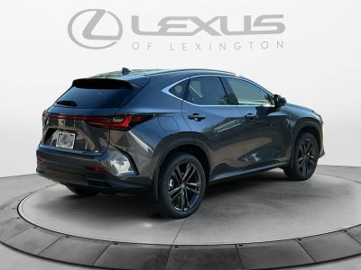2026 Lexus NX Luxury