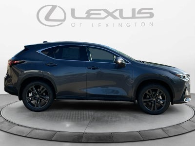 2026 Lexus NX Luxury