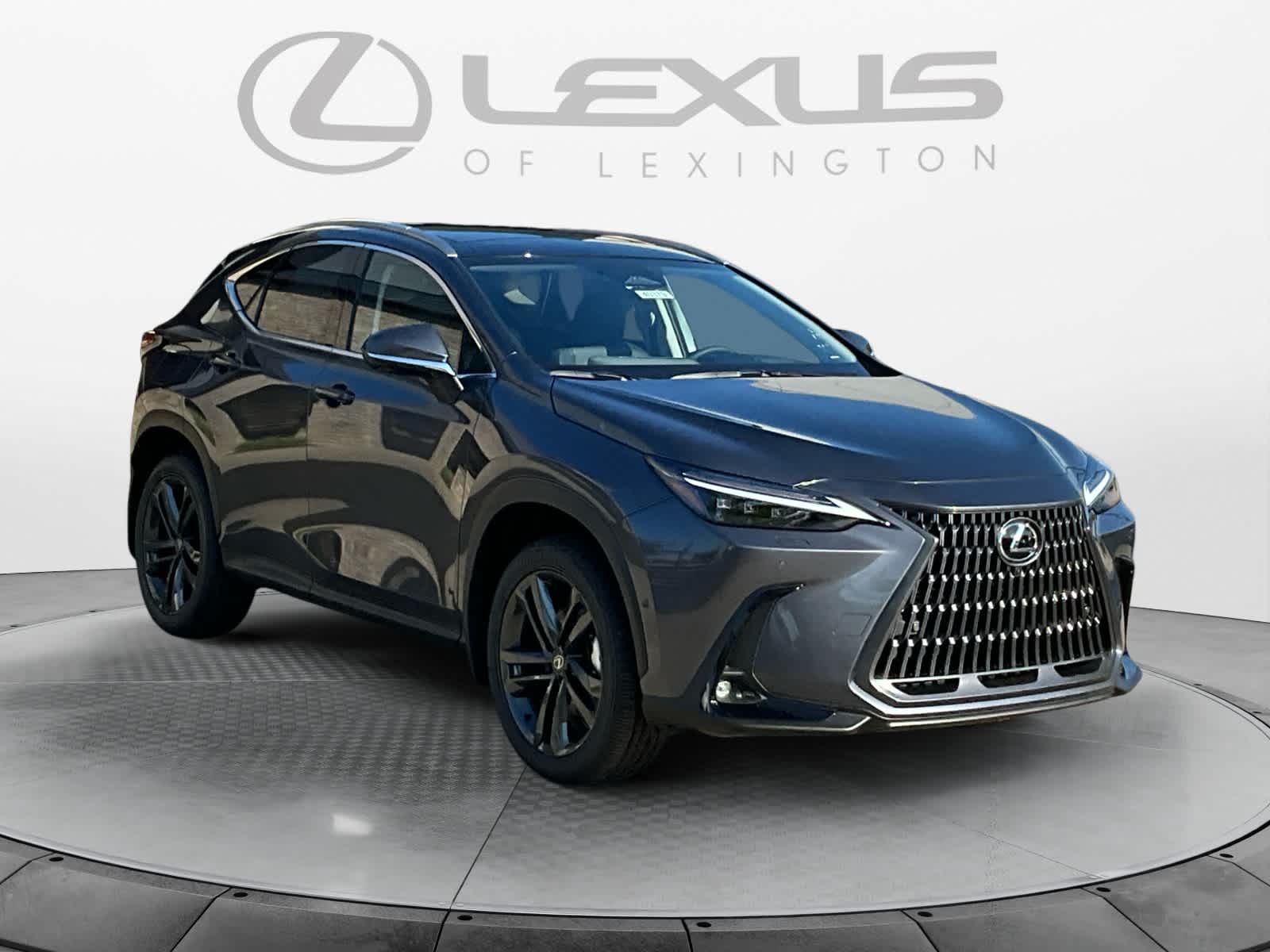 2026 Lexus NX Luxury