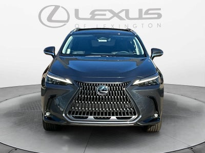 2026 Lexus NX Luxury