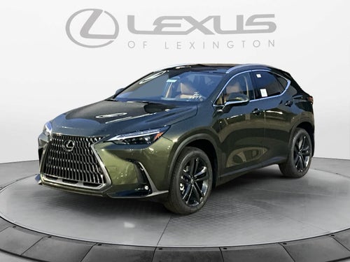 2026 Lexus NX Luxury