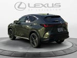 2026 Lexus NX Luxury