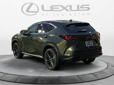 2026 Lexus NX Luxury