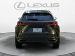 2026 Lexus NX Luxury
