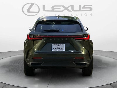 2026 Lexus NX Luxury