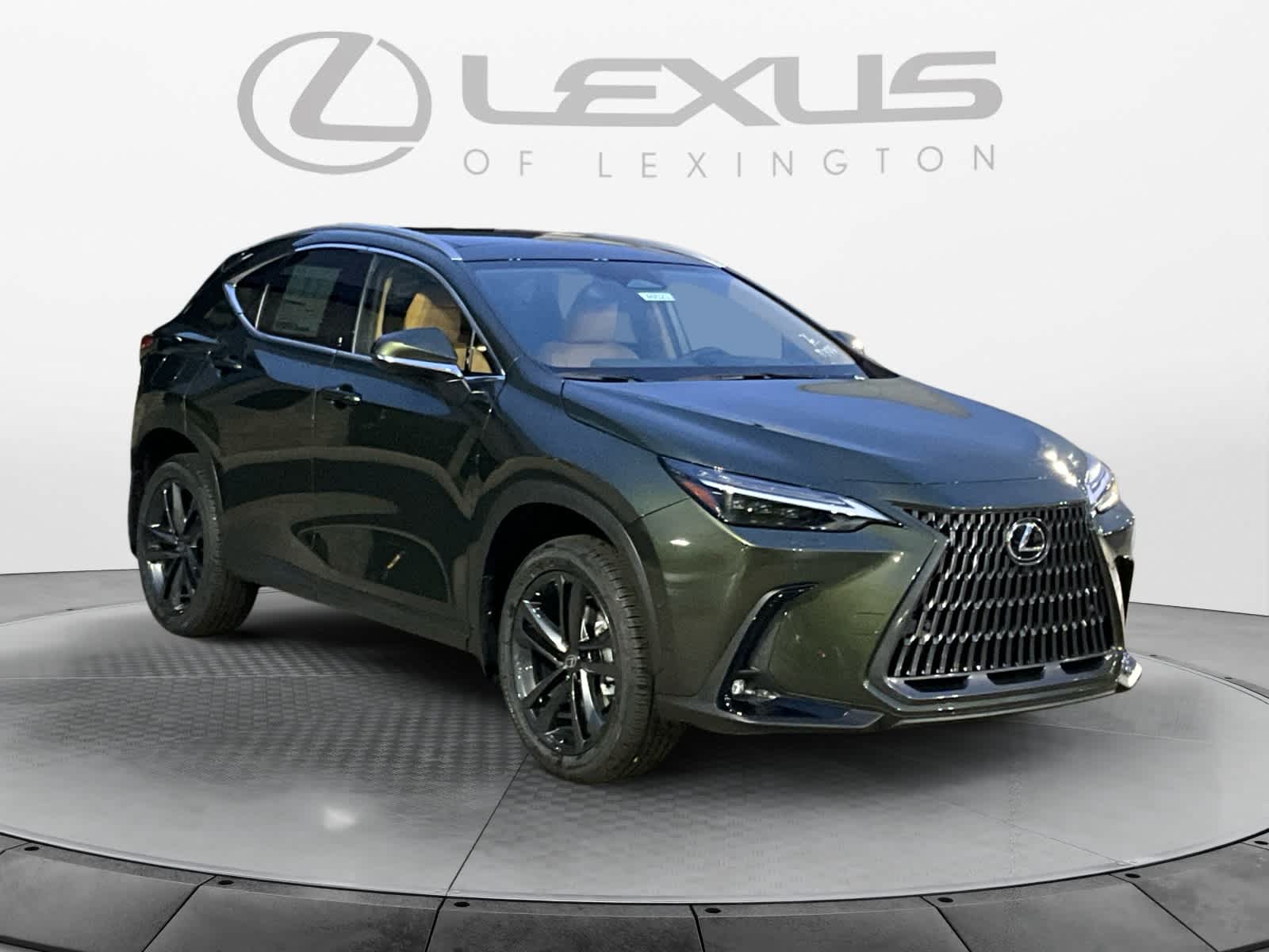2026 Lexus NX Luxury