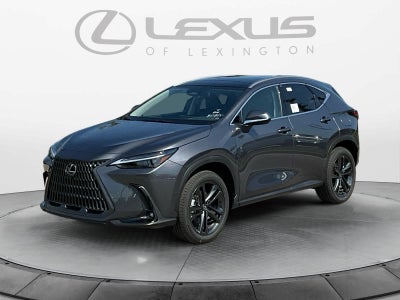 2026 Lexus NX Luxury