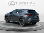 2026 Lexus NX Luxury