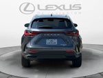 2026 Lexus NX Luxury