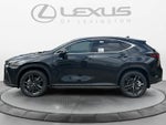 2026 Lexus NX Luxury