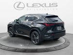 2026 Lexus NX Luxury