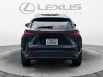2026 Lexus NX Luxury