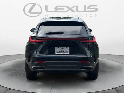 2026 Lexus NX Luxury
