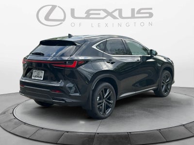 2026 Lexus NX Luxury