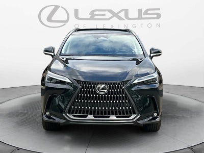 2026 Lexus NX Luxury