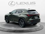 2026 Lexus NX 450h+ Luxury