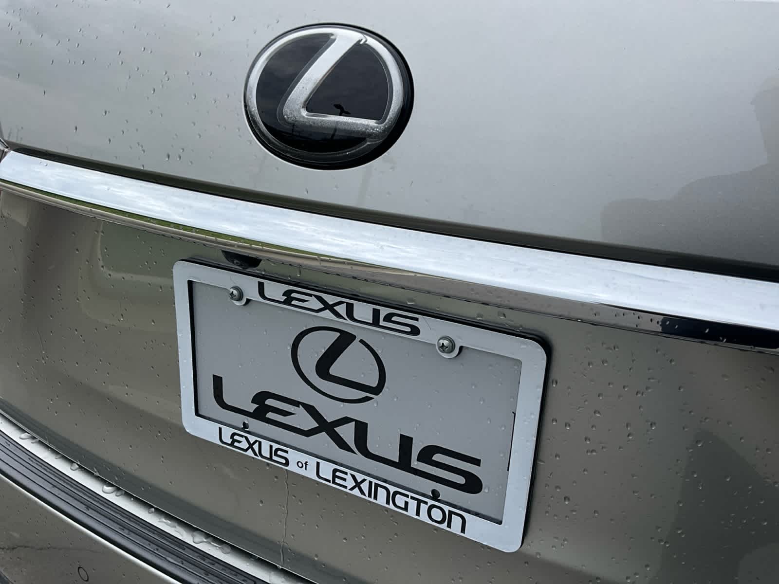 2021 Lexus RX 350 RX 350