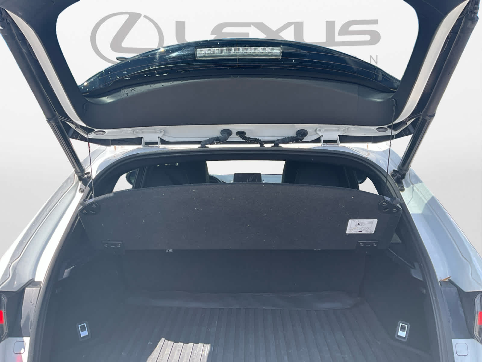2020 Lexus NX 300 F SPORT