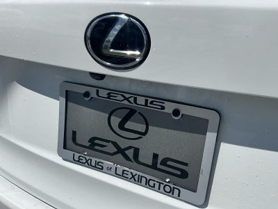 2020 Lexus NX 300 F SPORT