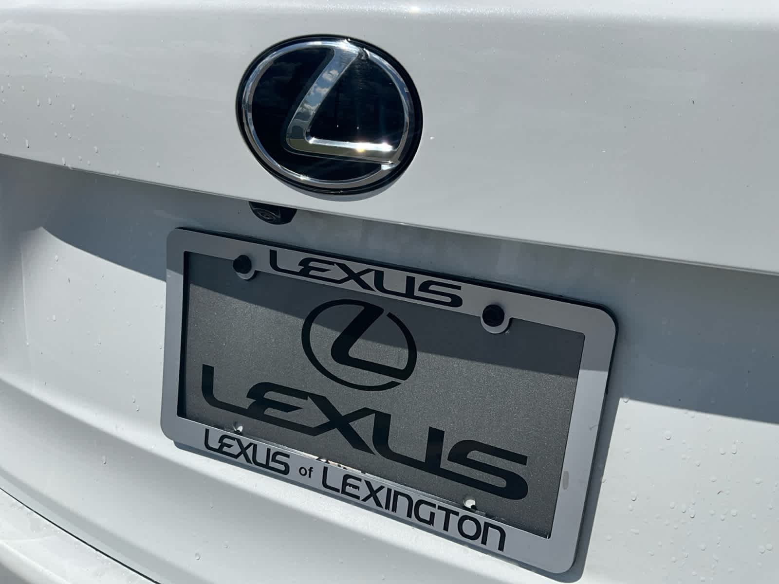 2020 Lexus NX 300 F SPORT
