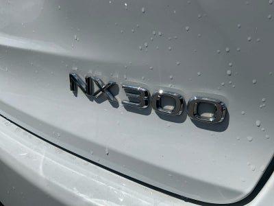 2020 Lexus NX 300 F SPORT