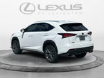 2020 Lexus NX 300 F SPORT