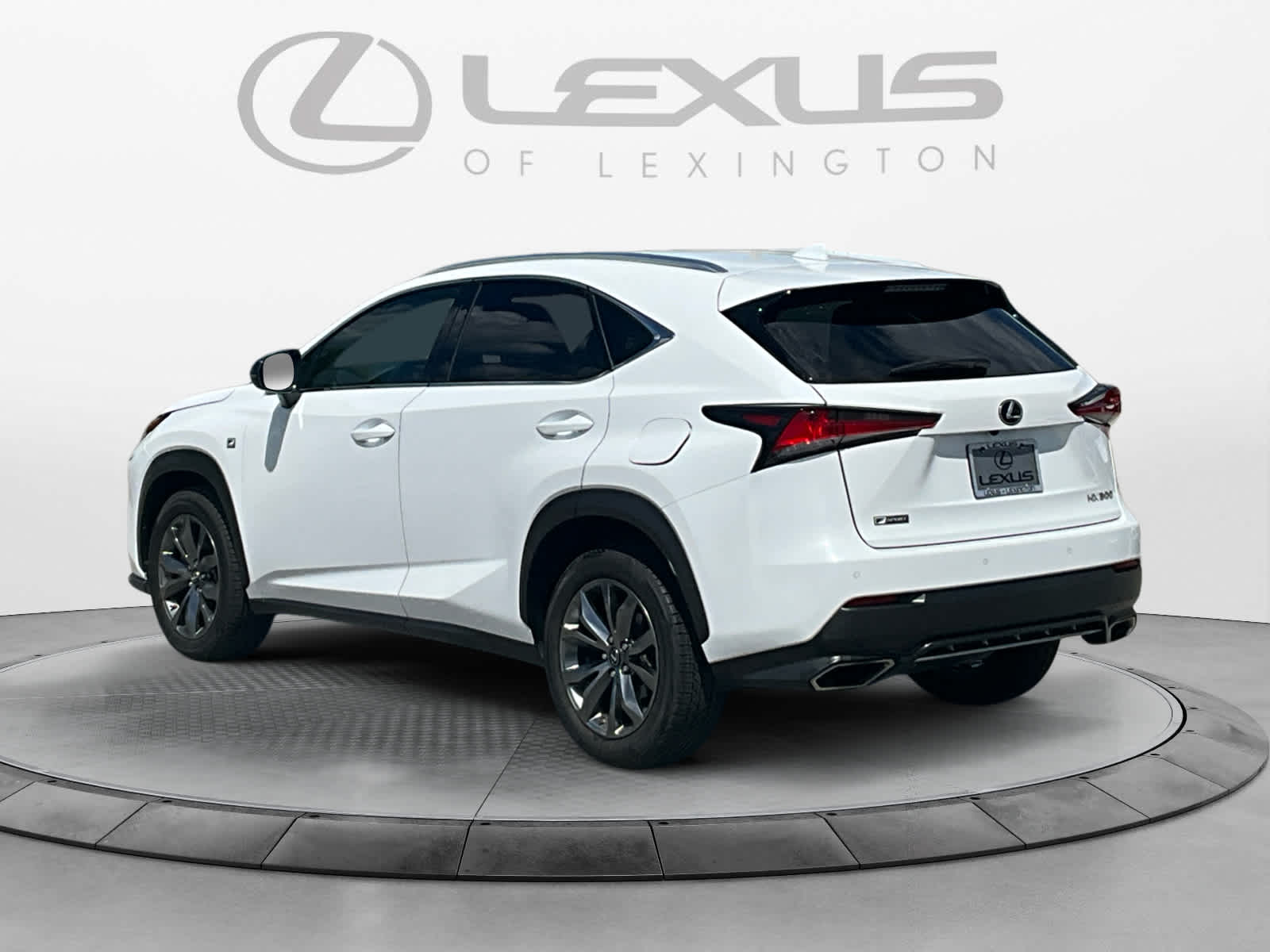 2020 Lexus NX 300 F SPORT